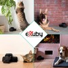 eXuby Pet-Safe & Child-Safe Rat Traps w/Tunnel Design – Dual