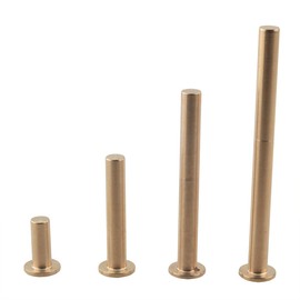 Ruiwaer 4PCS Golf Brass Tip Weights Plug Insert Fit Carbon Wood Iron Steel Shaft (1 x 2G, 1 x 4G, 1 x 6G, 1 x 8G)