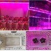 Tesfish LED Plant Grow Strip Light IP65 Waterproof Full Spectrum