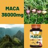 PersiNeed MACA 36000mg Dietary Supplement 60 Tablets