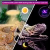 LUCKY HERP Reptile Heat Lamp 50W 2 Pack, Reptile Night