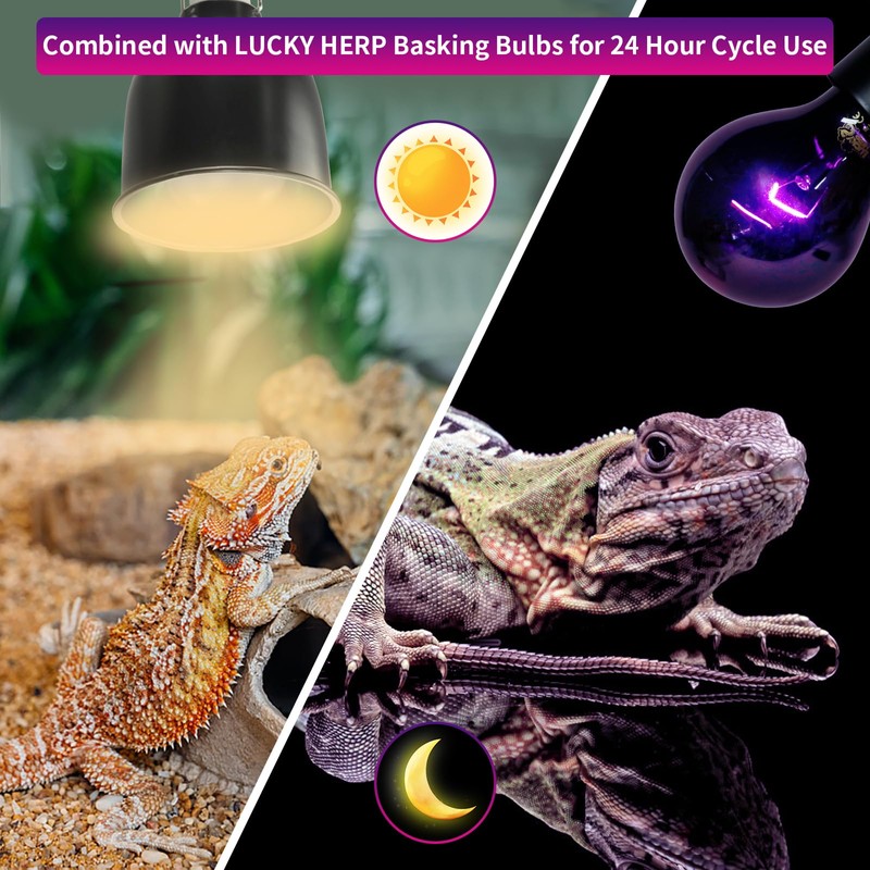 LUCKY HERP Reptile Heat Lamp 50W 2 Pack, Reptile Night