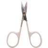 Scissors Nail 3 1/2 Inches Curved