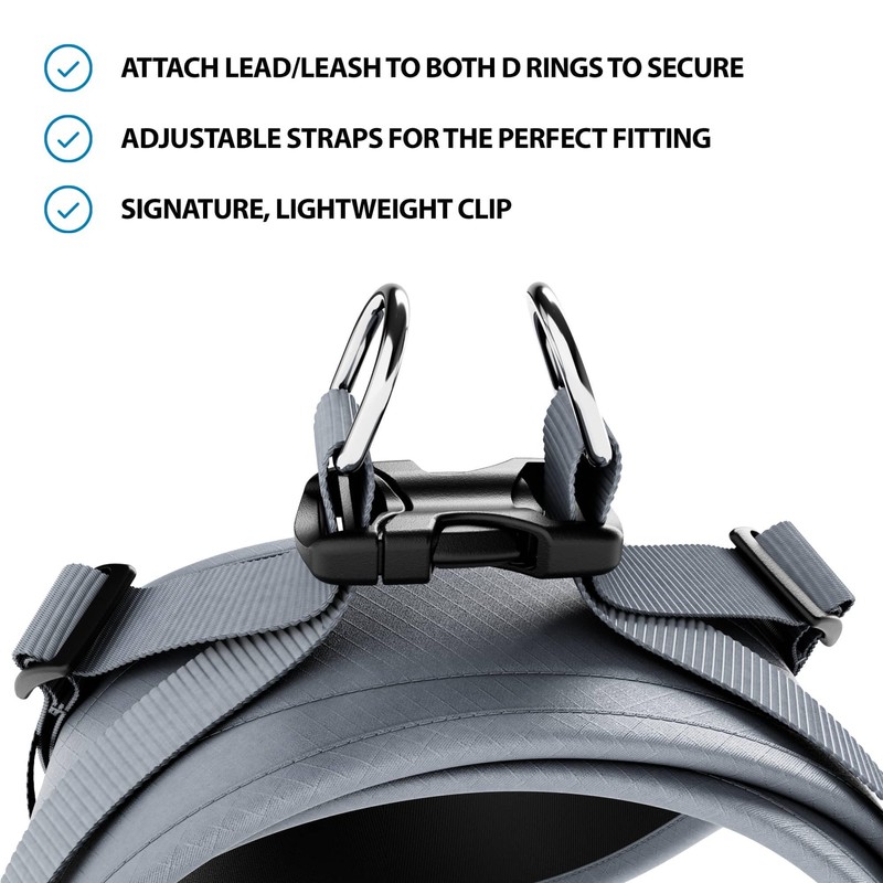 BullyBillows Boomerang Harness, Non-Restrictive, Lightweight, Easy to Put on and