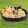 Qkxut Extra-Large Chicken Dust Bath Tub & Container Kit |