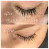 Purely Lashes Lash Growth Serum 3.5ml