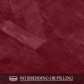 RYB HOME Red Fleece Blanket Soft Warm Twin Size Blankets Cozy Luxury Plush Throws Fuzzy Flannel Blankets for Couch Bed Gift Ideals for Birthday Christmas, Red, W60 x L80 inch