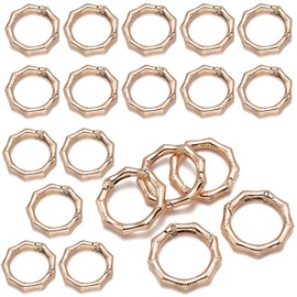 SAHENITEANA 20 Pack Easy Open Key Rings, Metal Spring O Ring, 1" Round Carabiner Clips Paracord Buckle Clip, Spring Snap Hook Purse Key Chain for Keychain Bag Crafts Accessories (Gold)