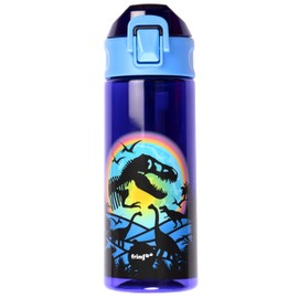 Fringoo - Dinosaur Moon - BPA Free Water Bottles - Pink Straw Water Bottle - Reusable Water Bottle - 600ml / 20oz