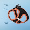 Voyager Step-in Air Dog Harness - All Weather Mesh Step
