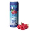 Wild Society Natural Energy Drink + Nootropics (12 pack) -