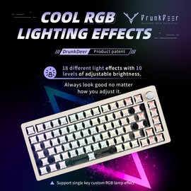 DrunkDeerA75 Rapid Trigger Mechanical Keyboard, Magnetic Switch Keyboard, TKL RGB Wired USB Compact 82 Keys with Knob,Grey Barebones