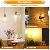 winsaLED 12 Pack 100 Watt Equivalent LED Edison Bulbs, 9W