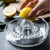 TAMUME 2pcs Glass Lemon Squeezer and Drink Stirrer Gin, Manual