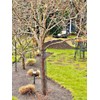 Tree Guards | Mesh Tree Bark Protector | Tree Deer