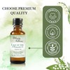 Abbey & Sullivan Fragrance Oil, Lily of The Valley, 1