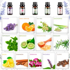Essential Oils Set, Aromatherapy Essential Oil Kit for Diffuser, Massage, Skin Care (26 x 5ml) - Eucalyptus, Lavender, Tea Tree, Peppermint, Lemongrass, Frankincense, Cinnamon, Sandalwood
