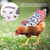8 Pcs Chicken Saddle for Hens Wing Back Protector Elastic