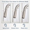 HOTIS Kitchen Sink Faucet Brushed Nickel with Pull Down Sprayer,