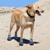 Weesiber Dog Shoes, Pack of 4 Non-Slip Dog Boots with