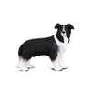 CollectA Border Collie