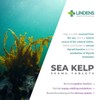 Kelp Tablets 100 x 500mg High Potency 1-a-day