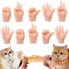 fnqiank 10 PCS Mini Hands for Cats，Small Hands Tiny Folded