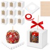 100 Pcs 4"x4"x4" Caramel Apple Boxes with Window, Base, Sticks