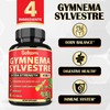 Satoomi Pure Gymnema Sylvestre Capsules Extract - 90 Capsules for