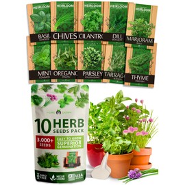 HOME GROWN 10 Herb Seeds for Planting 3,000+ Non-GMO Heirloom Seeds | Extra Large Variety Pack Herb Kit – Indoor Outdoor & Hydroponic | Culinary Seed Set | Grow Your Own Herbs | Gift for Beginners