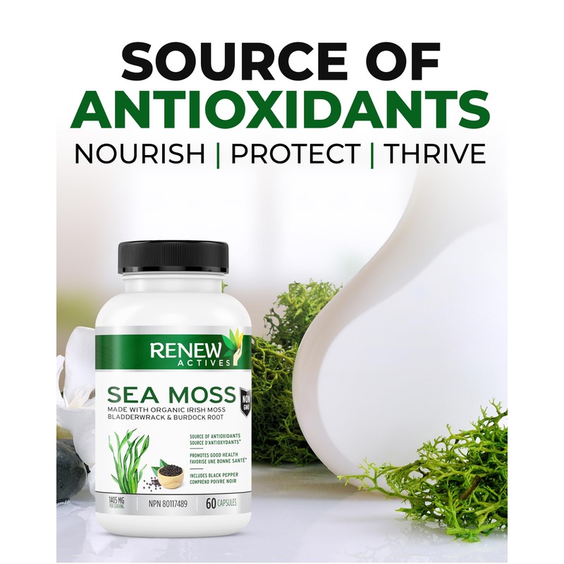 Renew Actives RENEW ACTIVES Sea Moss C Triple-Action Antioxidant Blend