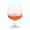 Dartington Crystal ST3180/8 Champagne Flute, Glass