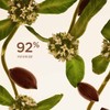 Clarins 엑스트라 퍼밍 트리트먼트 에센스 200ml Extra Firming Treatment Essence