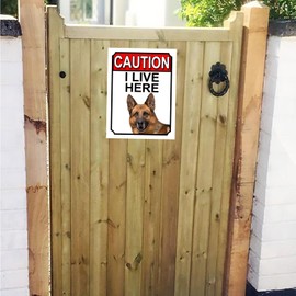 CAUTION I LIVE HERE METAL GATE SIGN GERMAN SHEPHERD THEME 200MM X 150MM (1399H1)