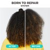 Carol's Daughter Carol's Daughter Born To Repair Leave In Hair