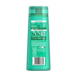 Garnier Fructis Coconut Water Shampoo 315mL