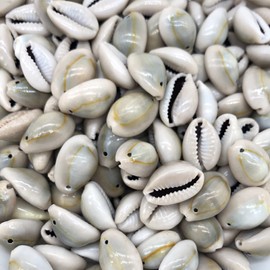 Fundiyoug 100 PCS 0.63"-0.71" Natural Cowrie Sea Shell Beads Cowrie Shells Charms, Beach Seashells with Hole for for Earring Bracelet Jewelry Making Wedding Party Wall Home Decor(16-18mm, Small Hole)