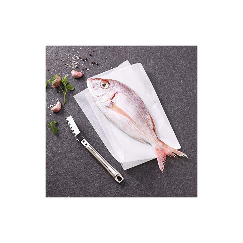 Paderno Fish Scaler GDG – S/steel