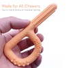 Hand-Held Sensory Chew Toys for Autistic Children(3 Pack), Chew Sticks