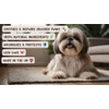 PAWSOME BALM - 100% Natural Dog Paw and Nose Balm