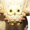 Cute Miscellaneous Goods, Good Luck Owl Bank, White SAN3412