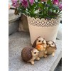 Objectz Hedgehog Group with Toadstool Table or Garden Decoration, Beautiful