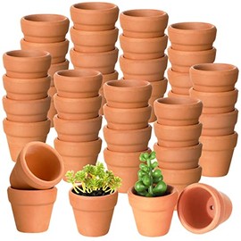 50 Mini Macetas de Barro de Terracota de 1.2 Pulgadas Macetas Pequeñas con Orificios de Drenaje Macetas de Barro Macetero para Vivero de Cactus Macetas de Terracota Suculentas (Terracota)