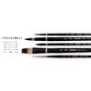 Interlon Advanced Watercolor Set of 5