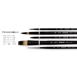 Interlon Advanced Watercolor Set of 5