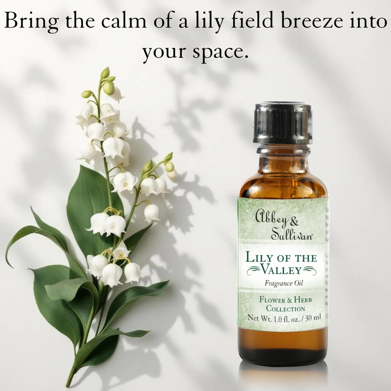 Abbey & Sullivan Fragrance Oil, Lily of The Valley, 1