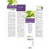 White Birch (Betula pendula, alba or verrucosa) Leaves Alcohol-Free Mother