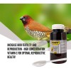Raff Vitamin E Powder for Birds by Raff, Pigeons &