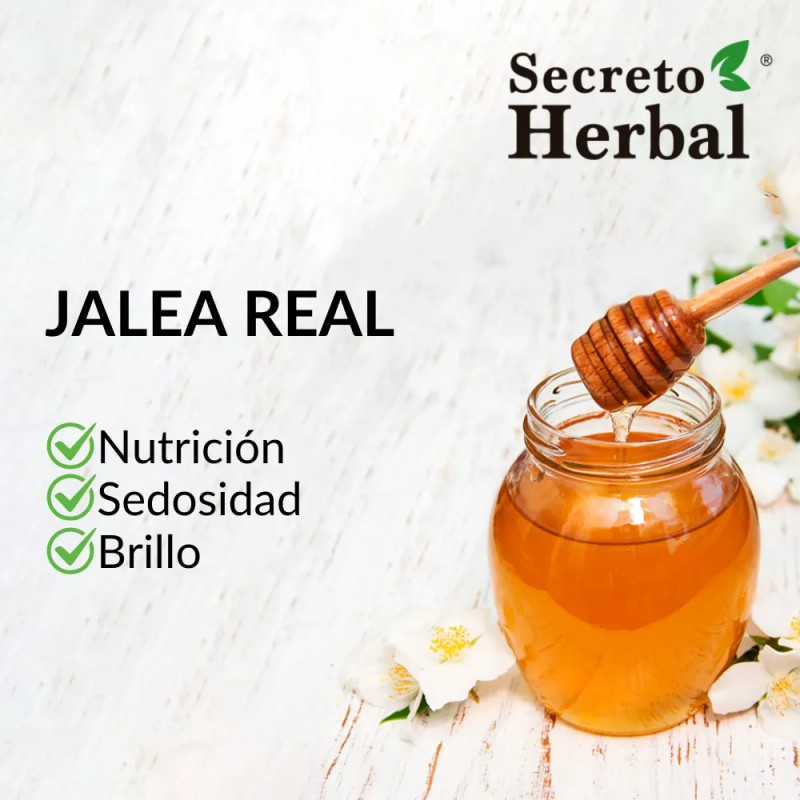 Kit Shampoo Anticada Y Acondicionador Secreto Herbal 1l