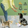 BEGA PET Interactive Dog Toys for Boredom 6.5 in -